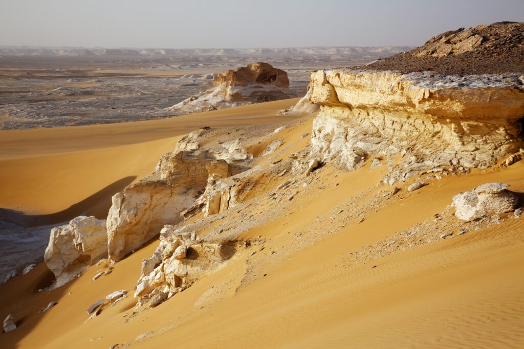 Desert landscape