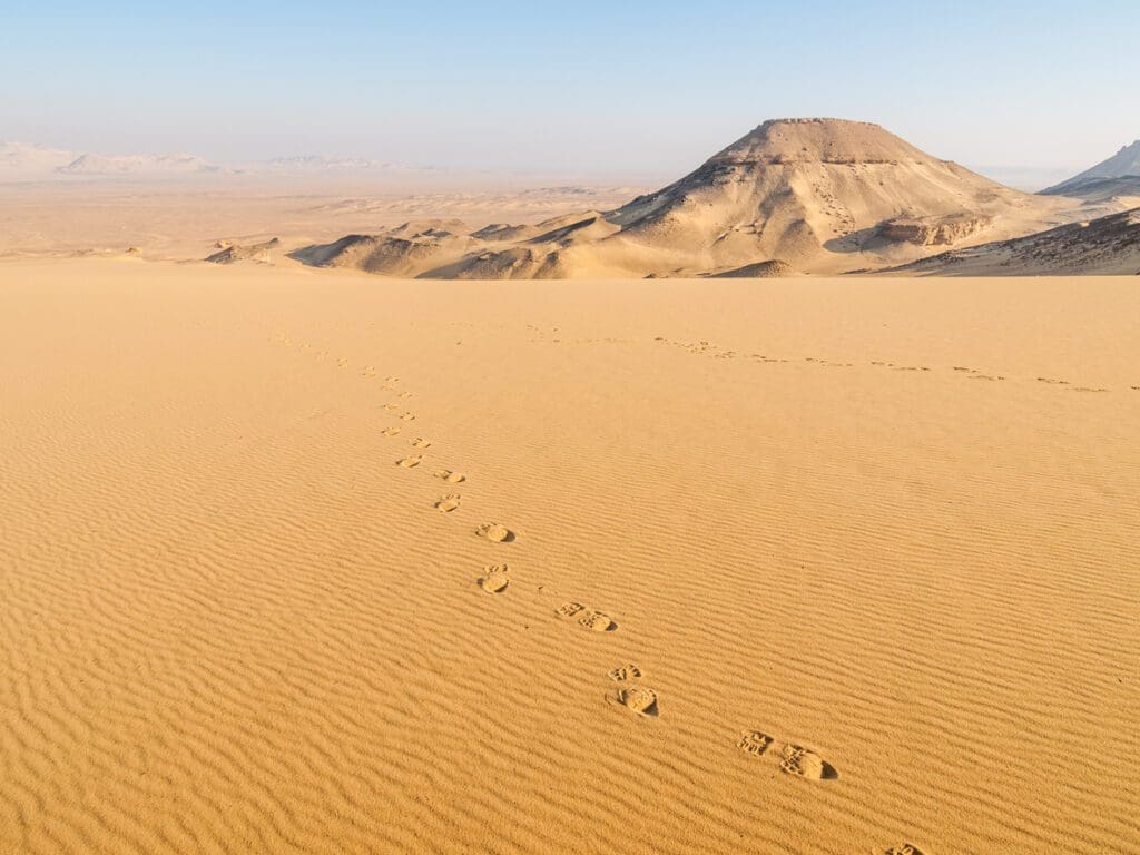 White Desert